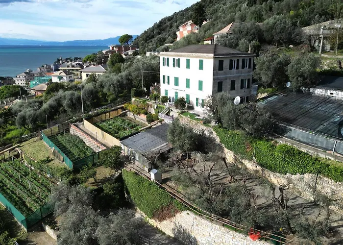 Cav Gli Ulivi Di Bogliasco Parcheggio Privato Gratuito