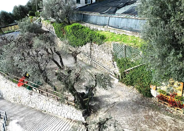 Cav Gli Ulivi Di Bogliasco Parcheggio Privato Gratuito
