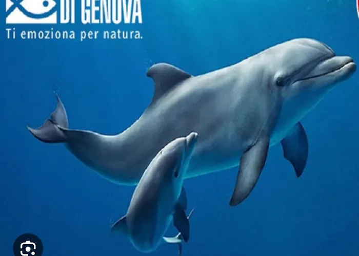 Casa Mia Bogliasco Mare & Centro